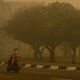 Image for article titled Photos: Inside the toxic haze, a “crime against humanity” caused by Indonesia’s fires